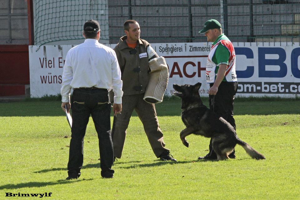 Paul Flanagan & Sepp von Haus Silma WUSV Paul Flanagan IGP World Championship
