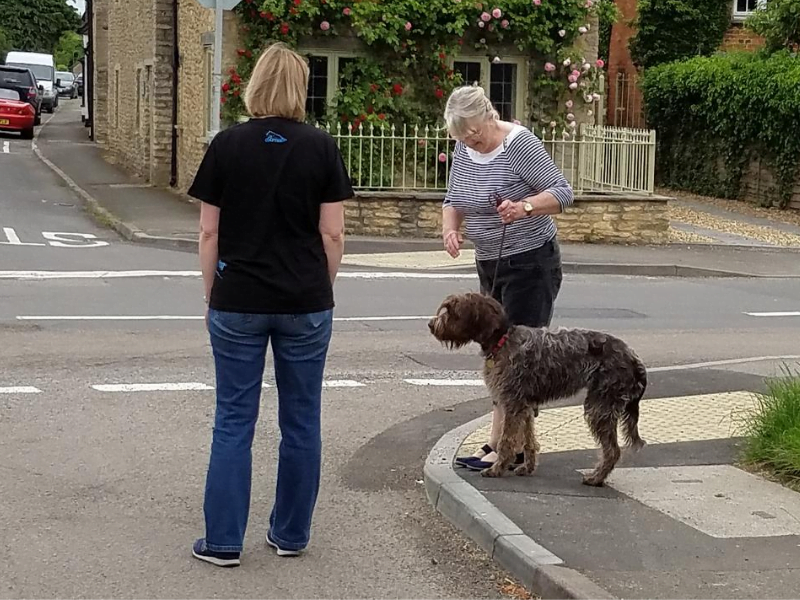 Walk Doctor