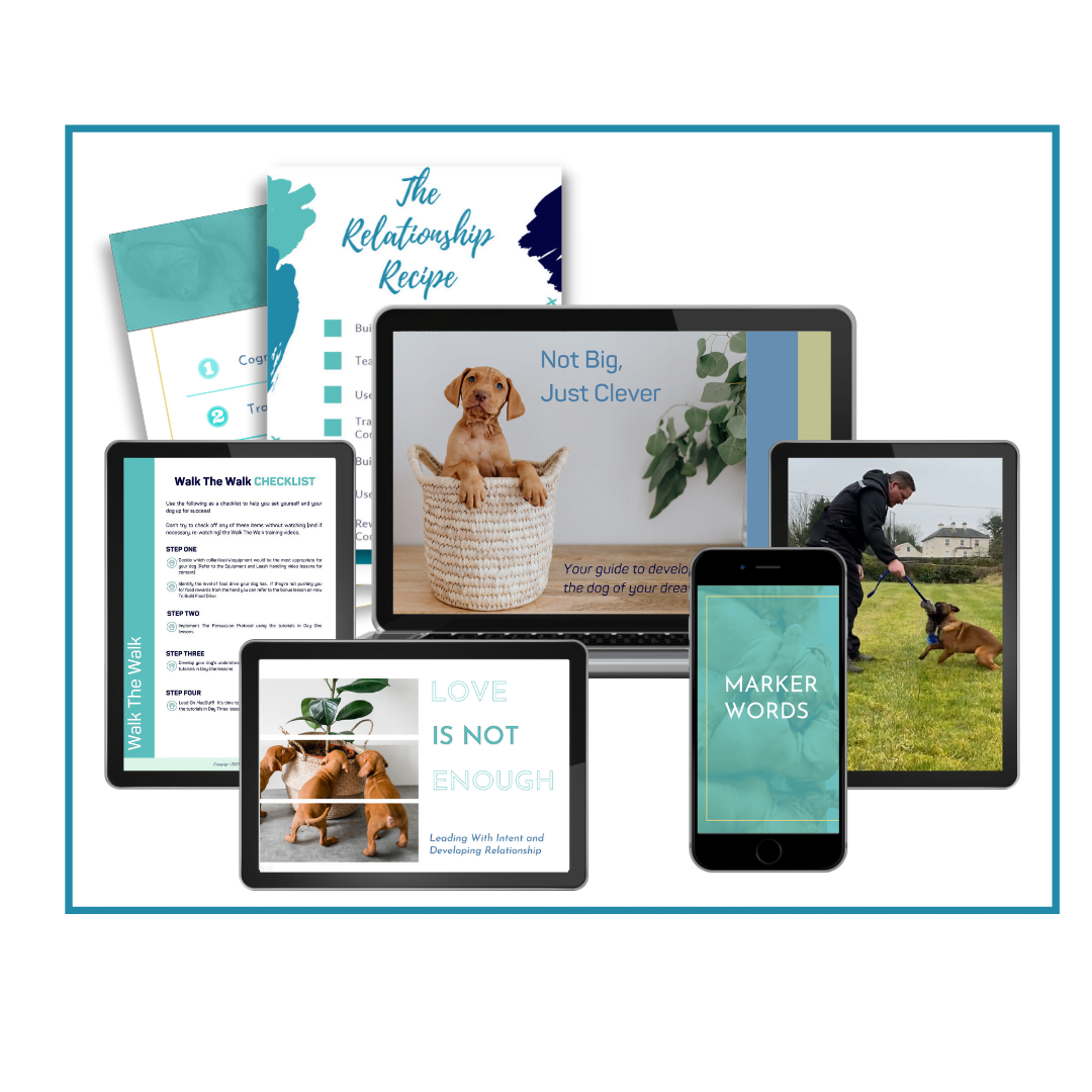 Product Mockup Templates (17) Walk Doctor